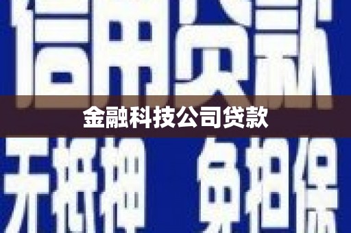 武胜金融科技公司贷款