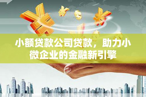 渭源小额贷款公司贷款，助力小微企业的金融新引擎