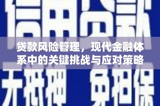 全州贷款风险管理，现代金融体系中的关键挑战与应对策略