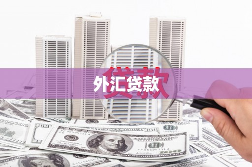 秦州外汇贷款