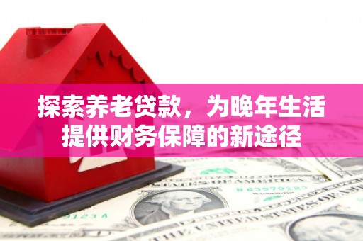 新北探索养老贷款，为晚年生活提供财务保障的新途径