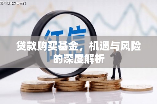 洪雅贷款购买基金，机遇与风险的深度解析