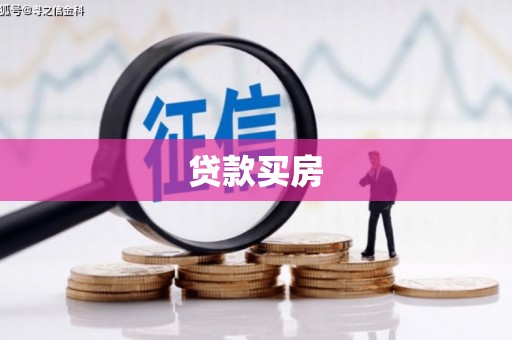 泸水贷款买房