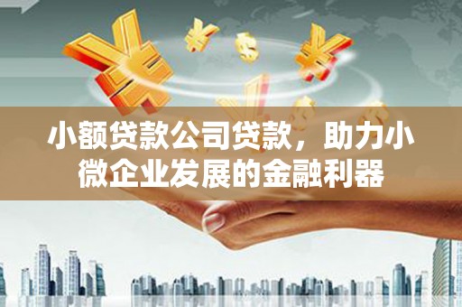 涵江小额贷款公司贷款，助力小微企业发展的金融利器