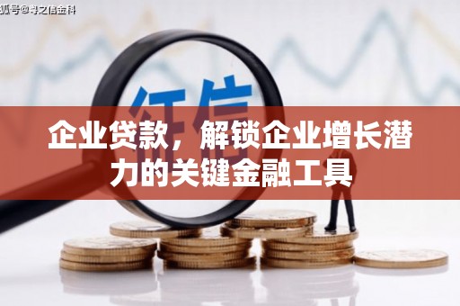 汉源企业贷款，解锁企业增长潜力的关键金融工具