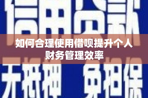 奎文如何合理使用借呗提升个人财务管理效率