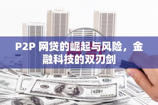潭子P2P 网贷的崛起与风险，金融科技的双刃剑
