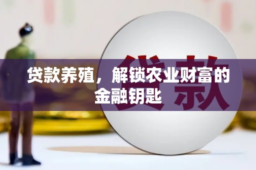 兰考贷款养殖，解锁农业财富的金融钥匙