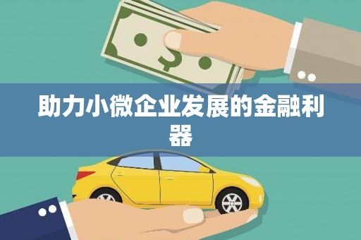 苍南助力小微企业发展的金融利器