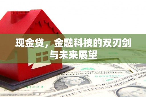 汉川现金贷，金融科技的双刃剑与未来展望