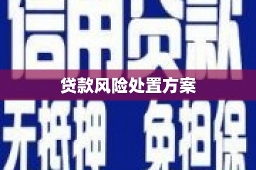 西畴贷款风险处置方案