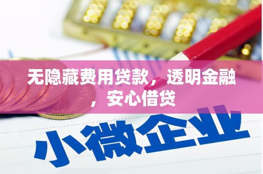 尼玛无隐藏费用贷款，透明金融，安心借贷