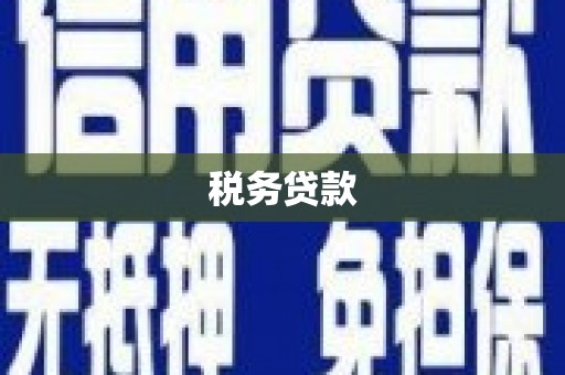 盐源税务贷款