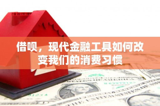 仙游借呗，现代金融工具如何改变我们的消费习惯