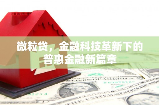 文安微粒贷，金融科技革新下的普惠金融新篇章