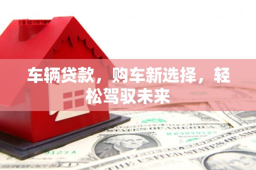 水林车辆贷款，购车新选择，轻松驾驭未来