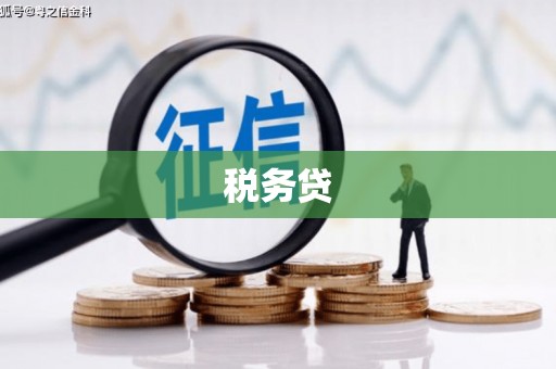 巴里坤税务贷
