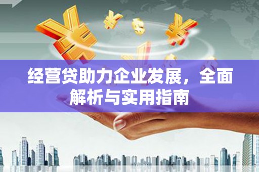 木垒经营贷助力企业发展，全面解析与实用指南