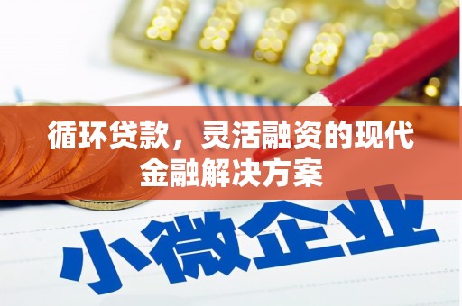 雨花台循环贷款，灵活融资的现代金融解决方案