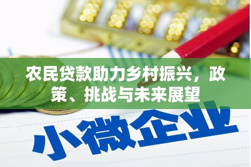 太保农民贷款助力乡村振兴，政策、挑战与未来展望