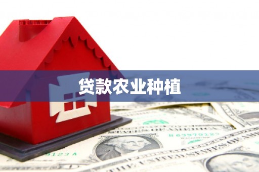 禄丰贷款农业种植