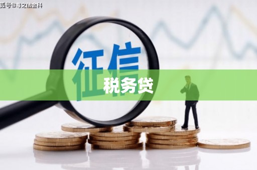 南华税务贷