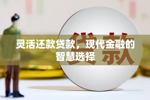 板芙灵活还款贷款，现代金融的智慧选择