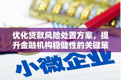 墨竹工卡优化贷款风险处置方案，提升金融机构稳健性的关键策略