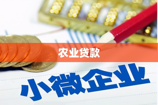 阜沙农业贷款