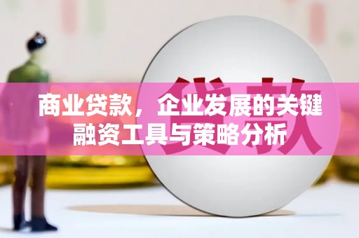 枋寮商业贷款，企业发展的关键融资工具与策略分析