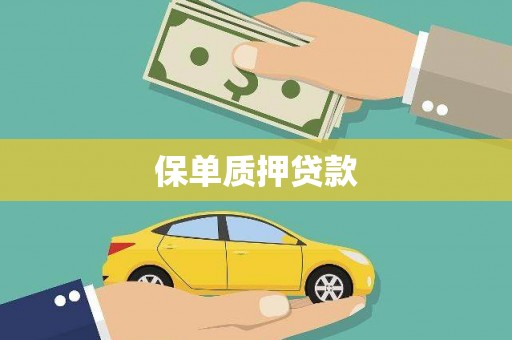 下城保单质押贷款