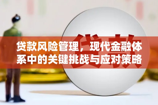 城中贷款风险管理，现代金融体系中的关键挑战与应对策略