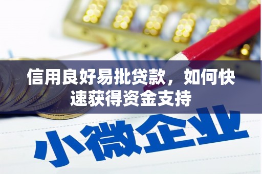 安源信用良好易批贷款，如何快速获得资金支持