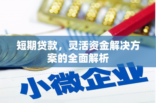 大溪短期贷款，灵活资金解决方案的全面解析