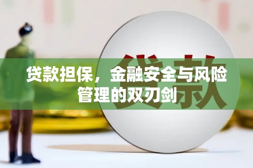 大埤贷款担保，金融安全与风险管理的双刃剑