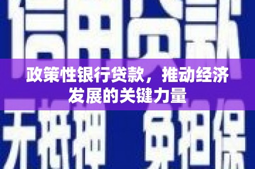 东平政策性银行贷款，推动经济发展的关键力量