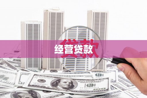 双河经营贷款