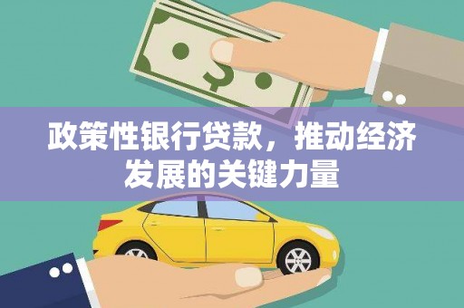 岱山政策性银行贷款，推动经济发展的关键力量