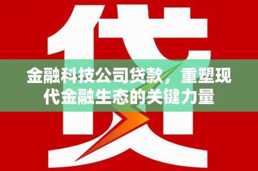 大庆金融科技公司贷款，重塑现代金融生态的关键力量