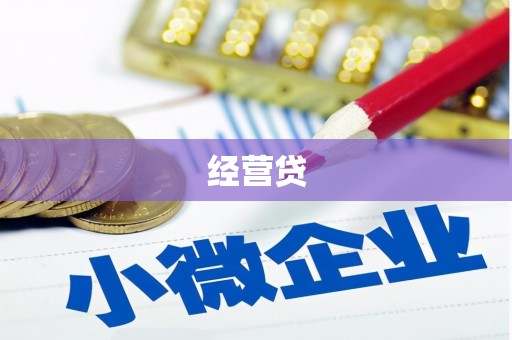 宜君经营贷