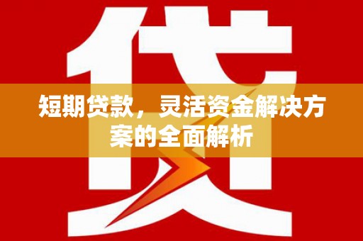 狮潭短期贷款，灵活资金解决方案的全面解析