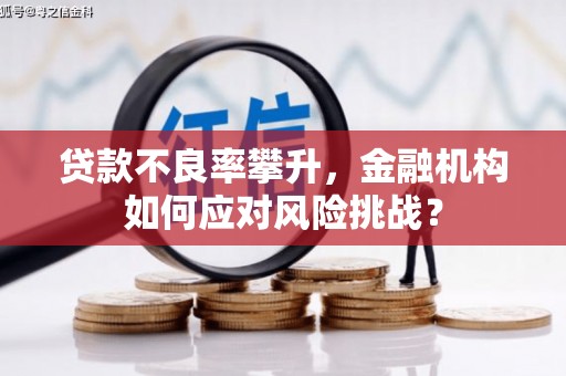 惠来贷款不良率攀升，金融机构如何应对风险挑战？
