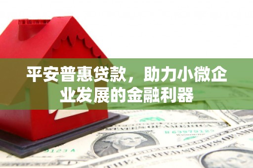 三穗平安普惠贷款，助力小微企业发展的金融利器