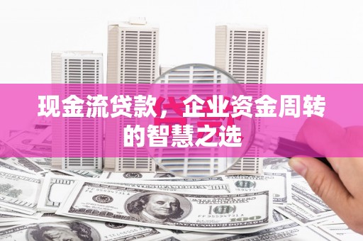 西贡现金流贷款，企业资金周转的智慧之选