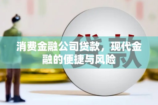 东势消费金融公司贷款，现代金融的便捷与风险