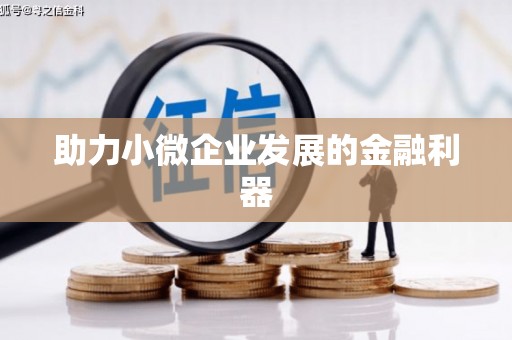 防城港助力小微企业发展的金融利器