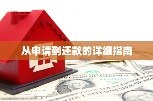树林从申请到还款的详细指南