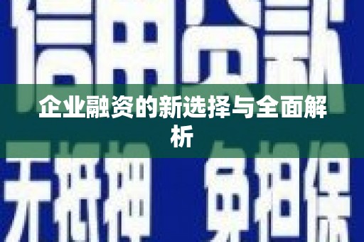 文昌企业融资的新选择与全面解析