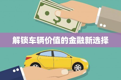 太麻里解锁车辆价值的金融新选择