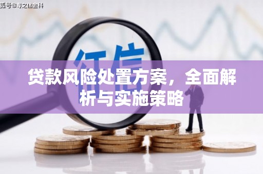 子洲贷款风险处置方案，全面解析与实施策略